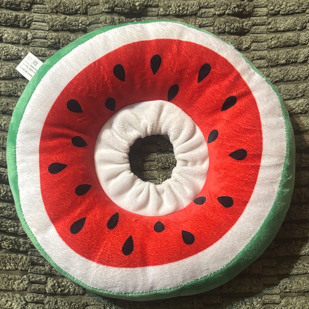 Vibrant Watermelon Donut Cushion